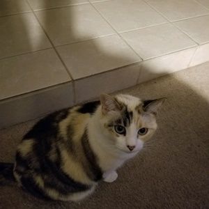 Meet your Posher, Heidi